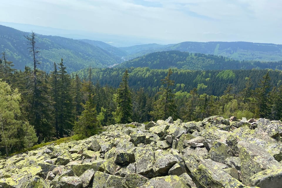 Výhled z vrcholu Hadí hory na Jáchymov | Foto: Jana Strejčková, Český rozhlas Výhled z vrcholu Hadí hory na Jáchymov | Foto: Jana Strejčková, Český rozhlas