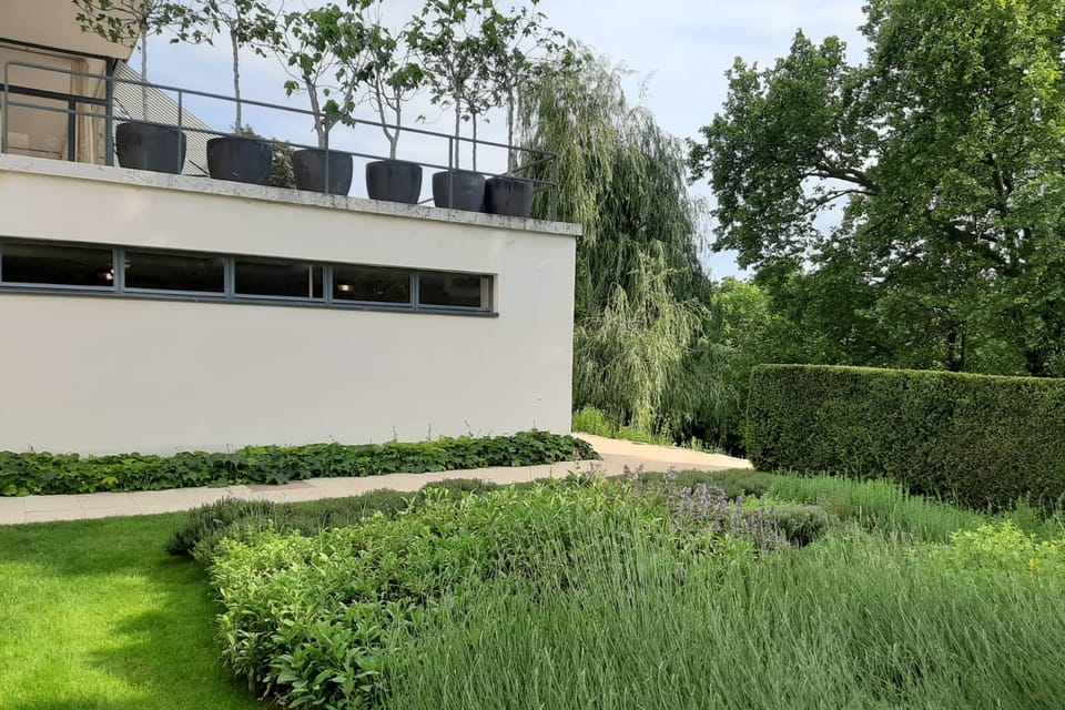 Vila Tugendhat, bylinková zahrádka | Foto: Lenka Žižková, Radio Prague International Vila Tugendhat, bylinková zahrádka | Foto: Lenka Žižková, Radio Prague International