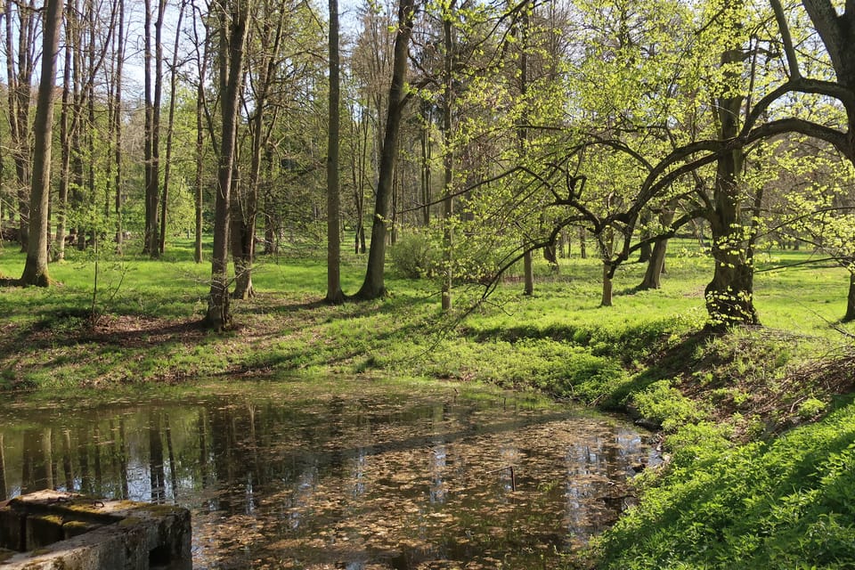 Konopišťský park | Foto: Štěpánka Budková,  Radio Prague International