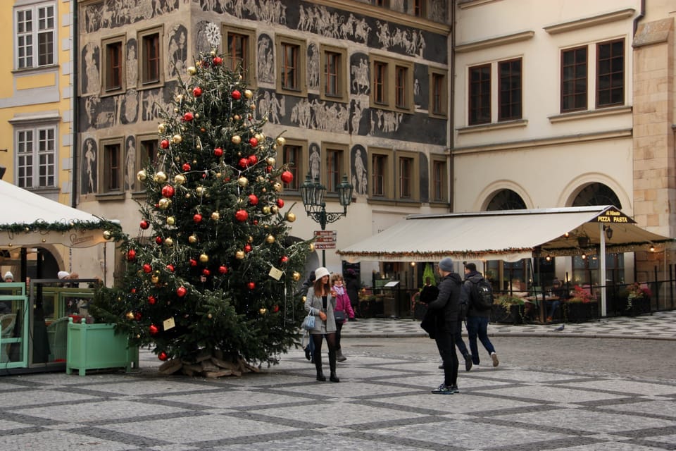 Vánoční strom před Staroměstskou radnicí v Praze | Foto: Barbora Němcová,  Radio Prague International