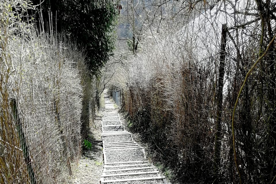 Cesta ze Slivence do Chuchle, foto: Štěpánka Budková Cesta ze Slivence do Chuchle, foto: Štěpánka Budková