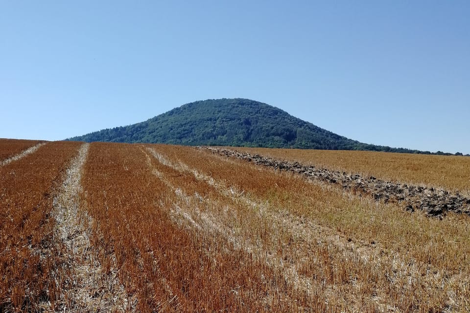 Vlhošť,  foto: Štěpánka Budková