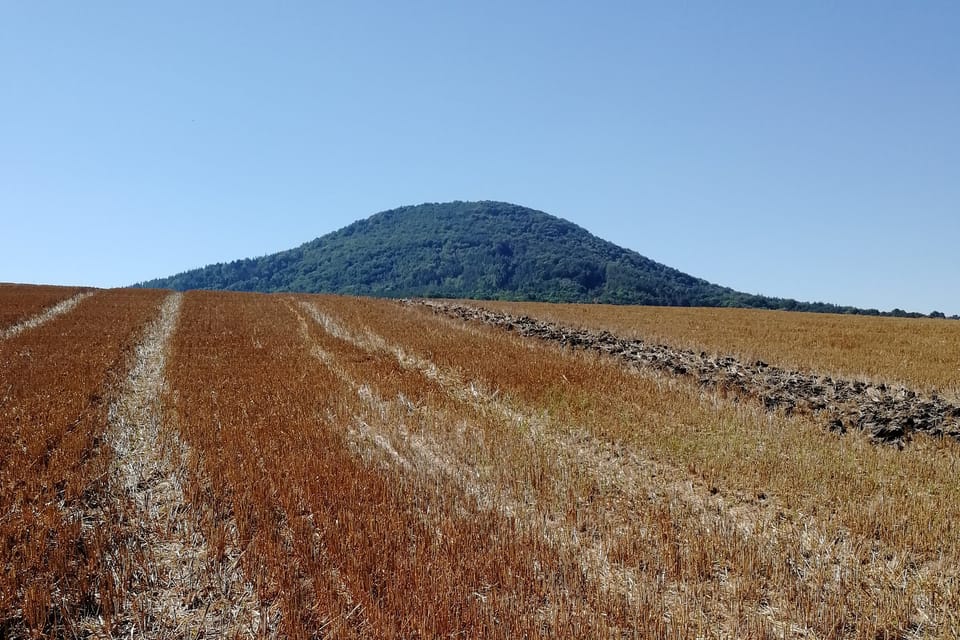 Vlhošť, foto: Štěpánka Budková Vlhošť, foto: Štěpánka Budková