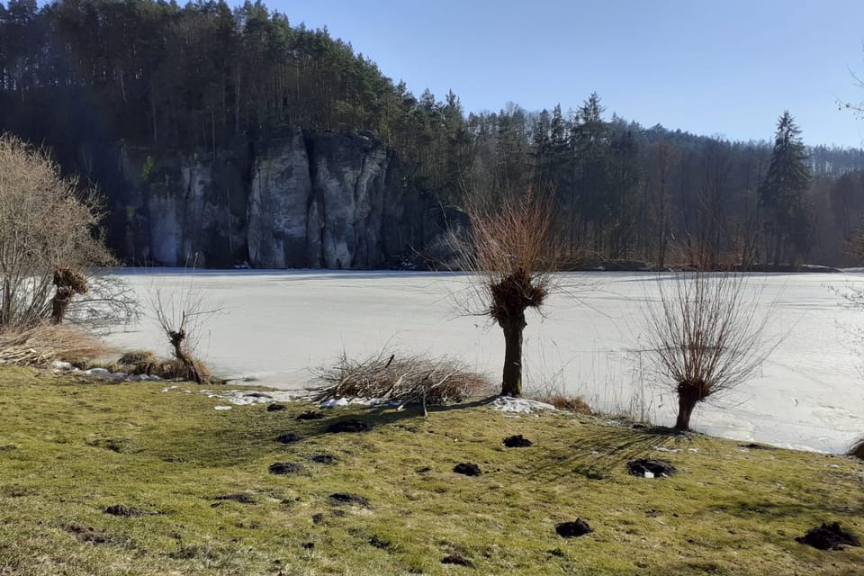 Věžický rybník známý z oblíbeného českého filmu Jak dostat tatínka do polepšovny,  foto: Jan Chalupa
