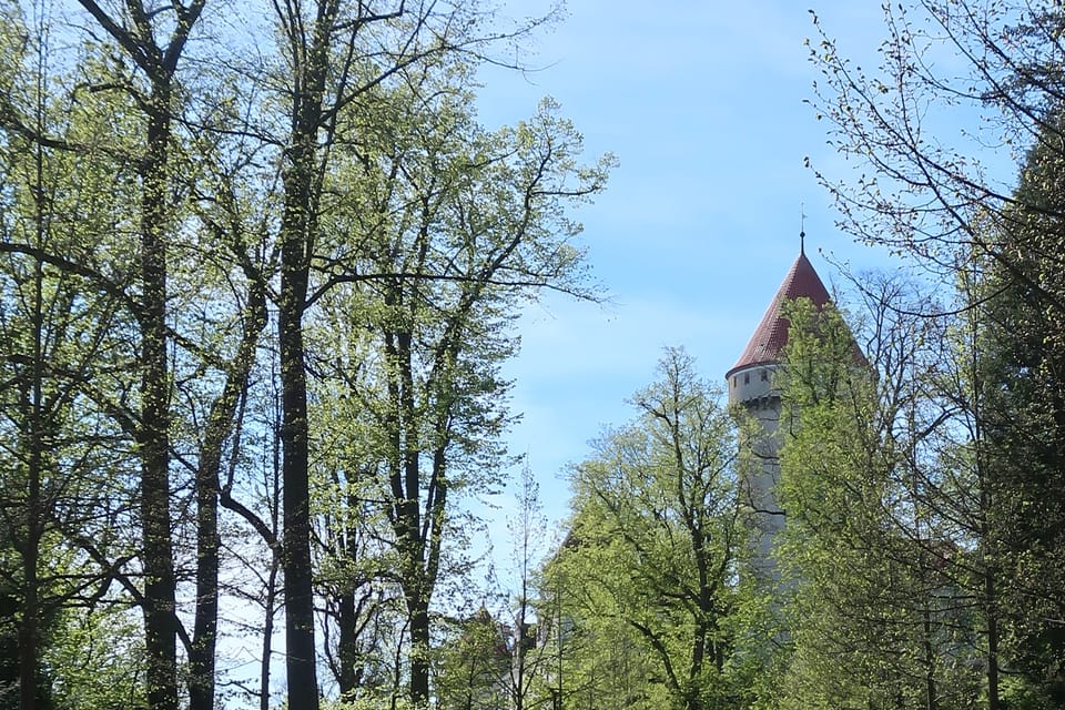 Konopišťský park | Foto: Štěpánka Budková,  Radio Prague International