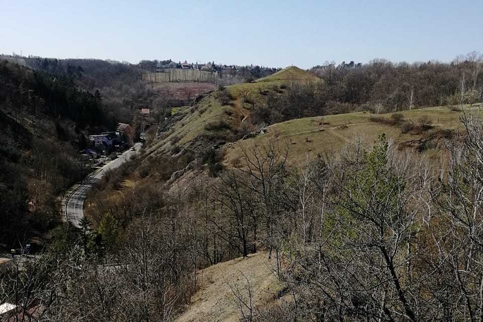 Přírodní rezervace Homolka, foto: Štěpánka Budková Přírodní rezervace Homolka, foto: Štěpánka Budková