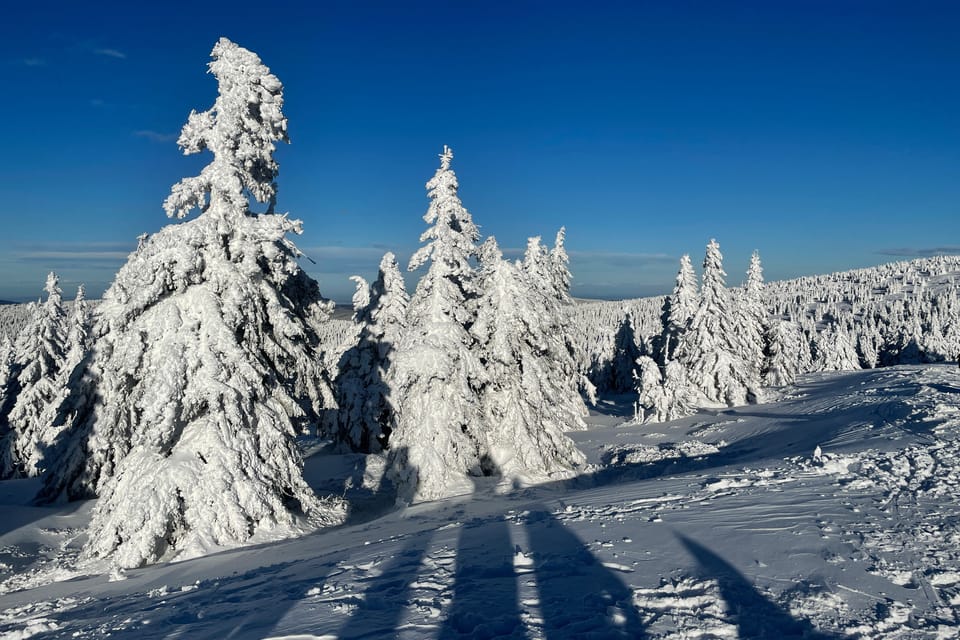 Foto: Ondřej Tomšů Foto: Ondřej Tomšů