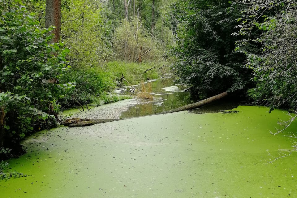 Přírodní památka Peklo, foto: Štěpánka Budková Přírodní památka Peklo, foto: Štěpánka Budková