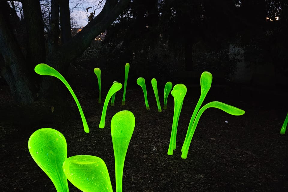 Výstava Křišťálová zahrada v Pražské botanické zahradě | Foto: Štěpánka Budková, Radio Prague Int. Výstava Křišťálová zahrada v Pražské botanické zahradě | Foto: Štěpánka Budková, Radio Prague Int.