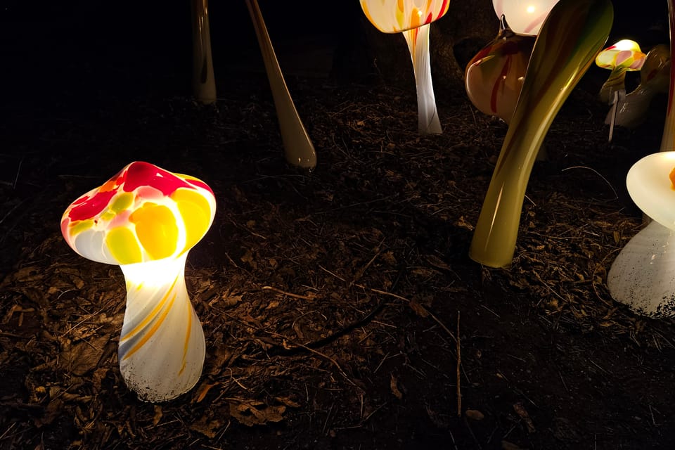 Výstava Křišťálová zahrada v Pražské botanické zahradě | Foto: Štěpánka Budková, Radio Prague Int. Výstava Křišťálová zahrada v Pražské botanické zahradě | Foto: Štěpánka Budková, Radio Prague Int.