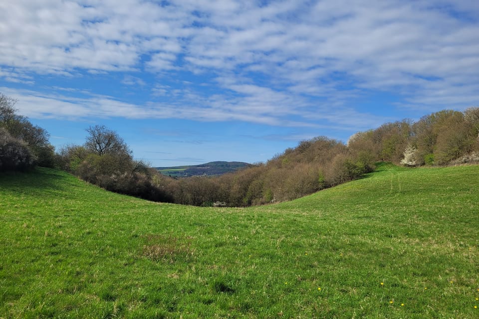 Nacházelo se na náhorní plošině vrchu Hradiště v nadmořské výšce 380 m a zaujímalo plochu 90, 3 ha. | Foto: Hana Slavická, Radio Prague International Nacházelo se na náhorní plošině vrchu Hradiště v nadmořské výšce 380 m a zaujímalo plochu 90, 3 ha. | Foto: Hana Slavická, Radio Prague International