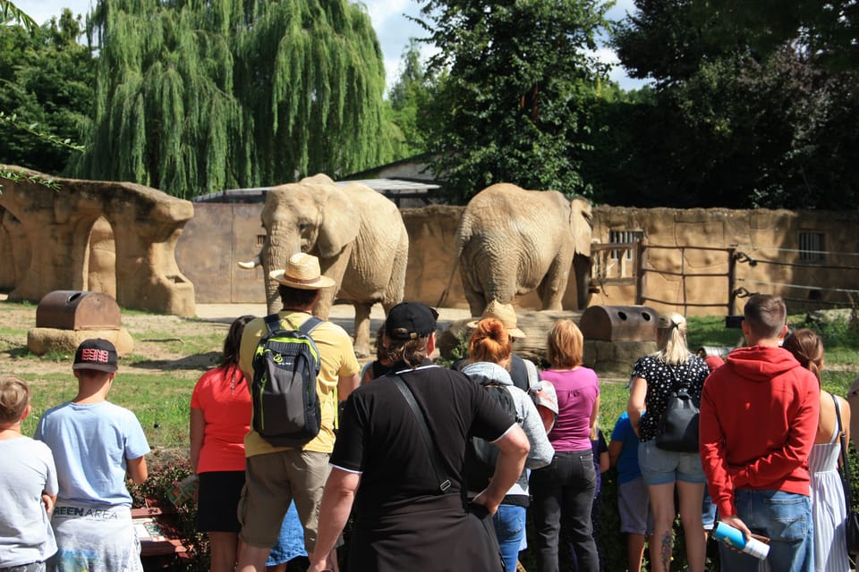 Zoologická zahrada ve Dvoře Králové | Foto: Barbora Němcová,  Radio Prague International