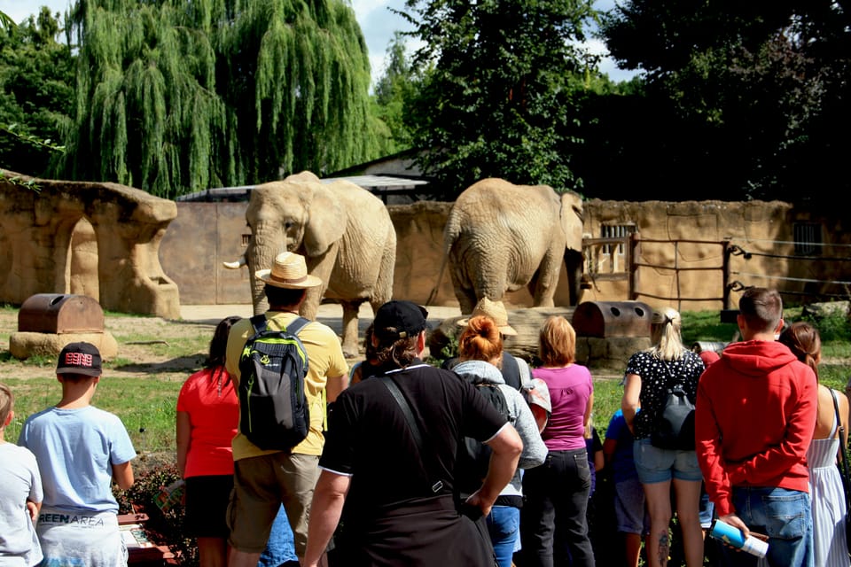 Zoologická zahrada ve Dvoře Králové | Foto: Barbora Němcová, Radio Prague International Zoologická zahrada ve Dvoře Králové | Foto: Barbora Němcová, Radio Prague International