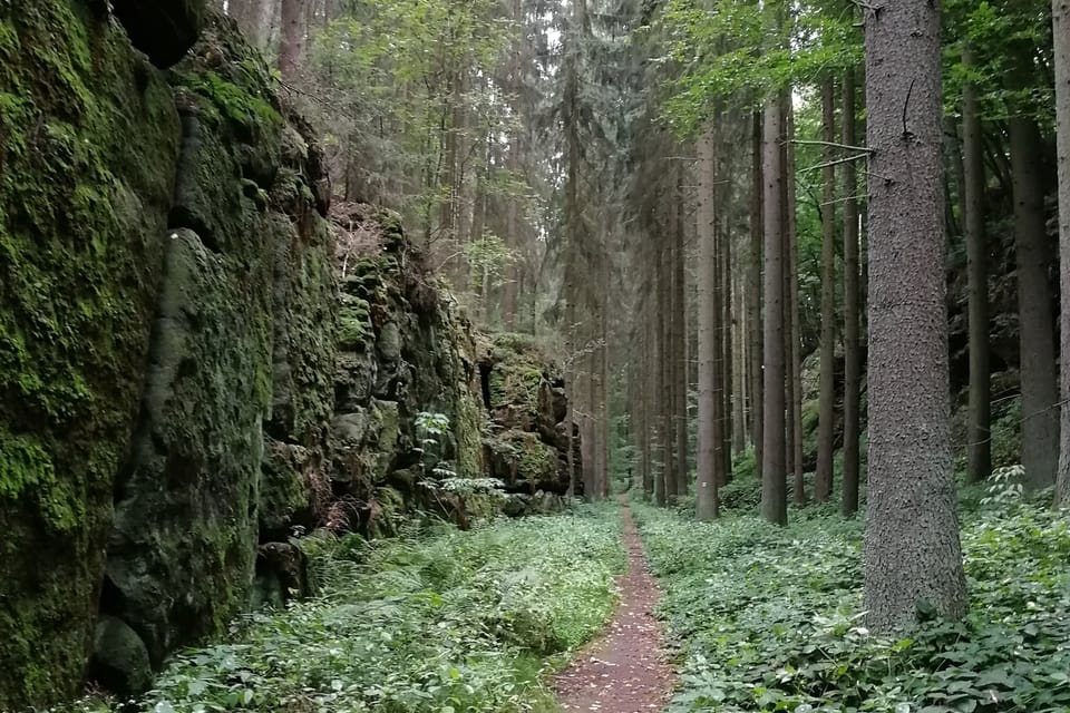 Studená rokle,  foto: Štěpánka Budková