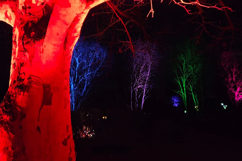 Výstava Křišťálová zahrada v Pražské botanické zahradě | Foto: Štěpánka Budková, Radio Prague Int. Výstava Křišťálová zahrada v Pražské botanické zahradě | Foto: Štěpánka Budková, Radio Prague Int.