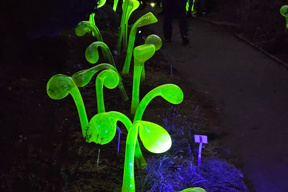 Výstava Křišťálová zahrada v Pražské botanické zahradě | Foto: Štěpánka Budková, Radio Prague Int. Výstava Křišťálová zahrada v Pražské botanické zahradě | Foto: Štěpánka Budková, Radio Prague Int.