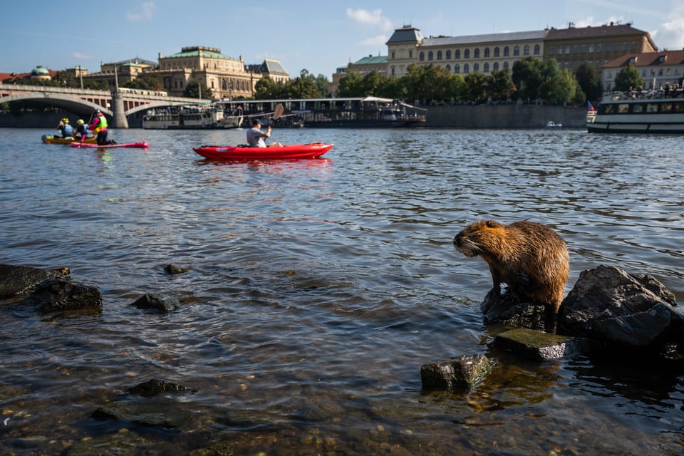Foto: Zuzana Jarolímková,  iROZHLAS.cz