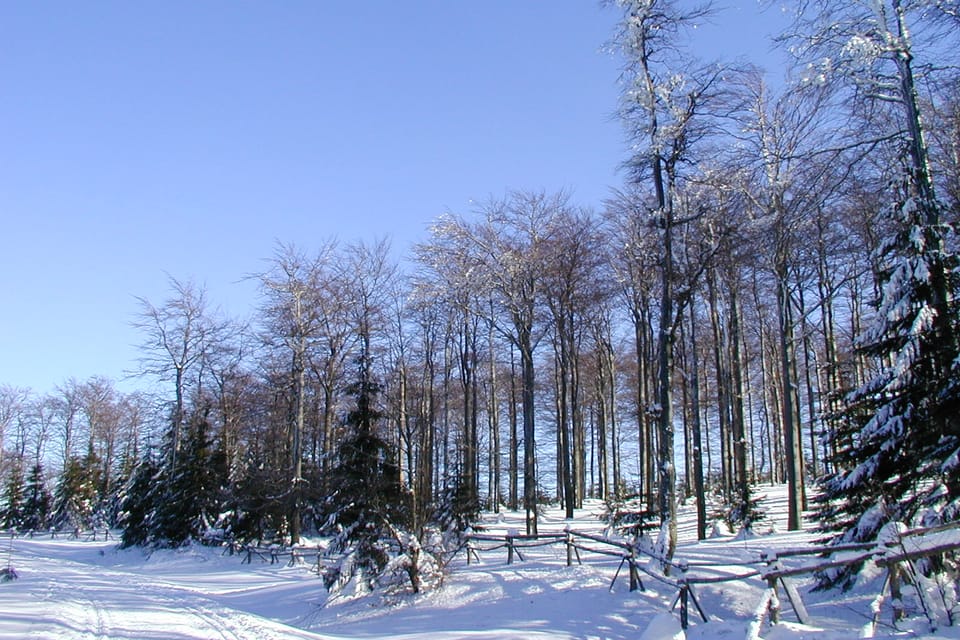Hejnický hřeben v Jizerských horách, foto: Štěpánka Budková Hejnický hřeben v Jizerských horách, foto: Štěpánka Budková