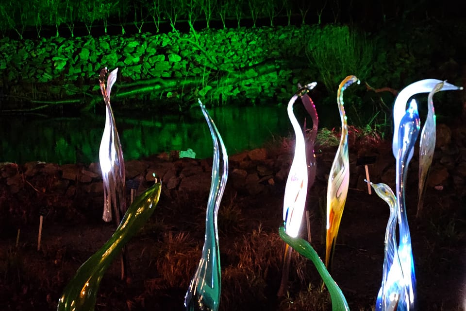 Výstava Křišťálová zahrada v Pražské botanické zahradě | Foto: Štěpánka Budková, Radio Prague Int. Výstava Křišťálová zahrada v Pražské botanické zahradě | Foto: Štěpánka Budková, Radio Prague Int.
