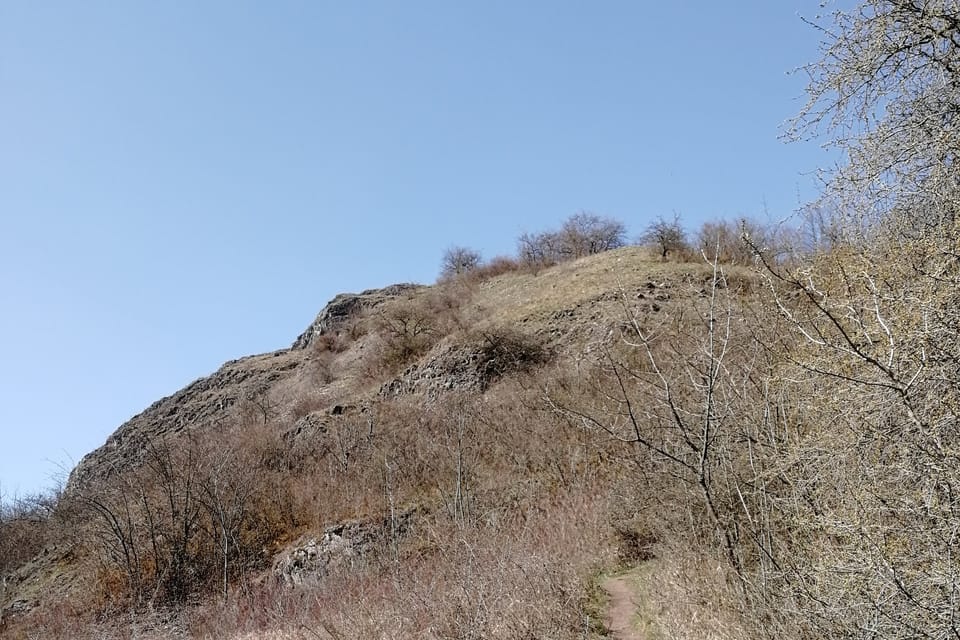 Přírodní rezervace Homolka, foto: Štěpánka Budková Přírodní rezervace Homolka, foto: Štěpánka Budková