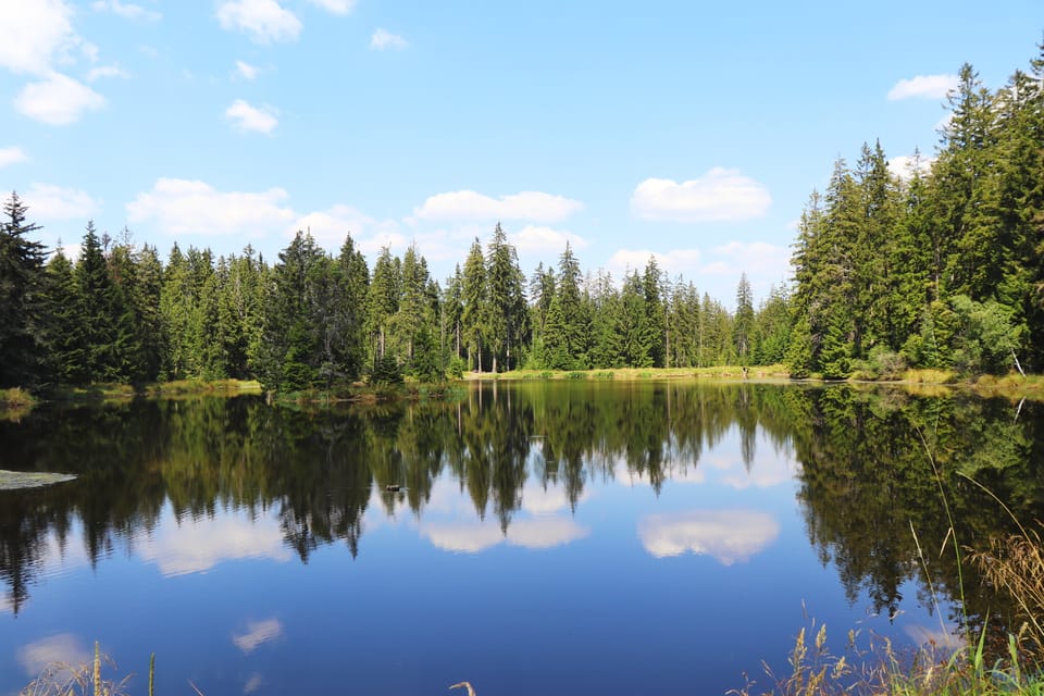 Slavkovský les | Foto: Naďa Krásná,  Český rozhlas