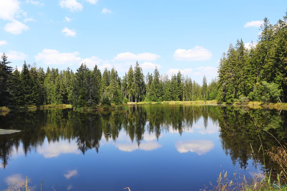 Slavkovský les | Foto: Naďa Krásná, Český rozhlas Slavkovský les | Foto: Naďa Krásná, Český rozhlas