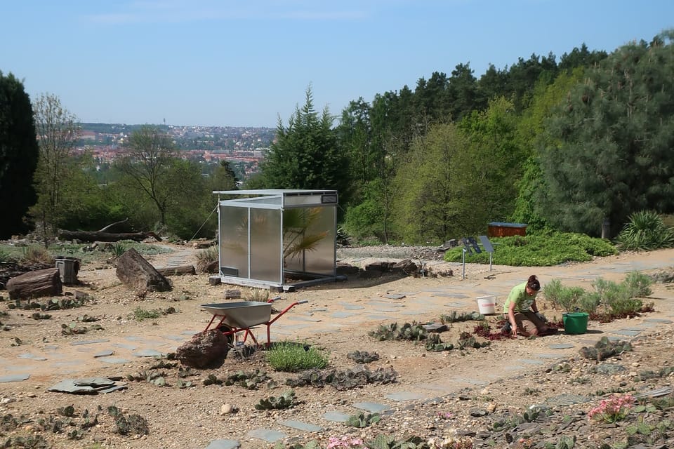 Foto: Štěpánka Budková, Radio Prague International Foto: Štěpánka Budková, Radio Prague International