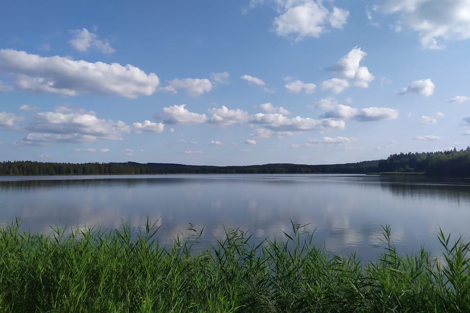 Padrťské rybníky | Foto: Kateřina Dobrovolná,  Český rozhlas