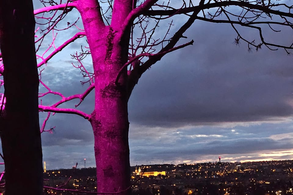 Výstava Křišťálová zahrada v Pražské botanické zahradě | Foto: Štěpánka Budková, Radio Prague Int. Výstava Křišťálová zahrada v Pražské botanické zahradě | Foto: Štěpánka Budková, Radio Prague Int.