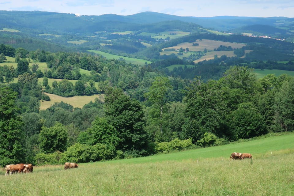 Kašperská vrchovina | Foto: Štěpánka Budková,  Radio Prague International