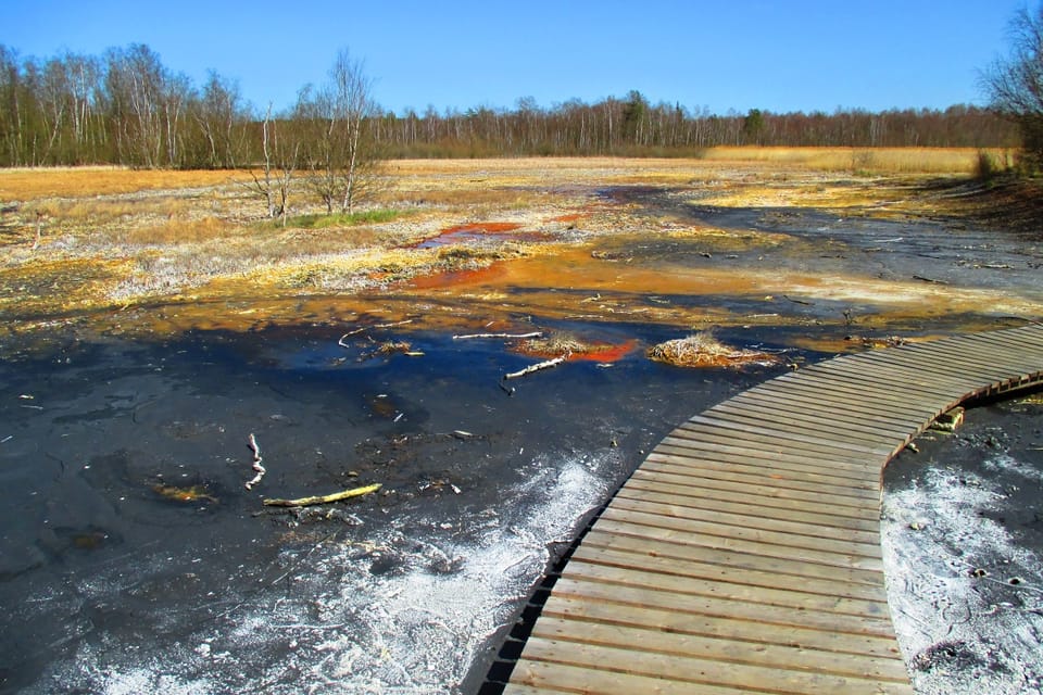 Národní přírodní rezervace SOOS u Františkových lázní | Foto: Pavel Halla, Český rozhlas Národní přírodní rezervace SOOS u Františkových lázní | Foto: Pavel Halla, Český rozhlas