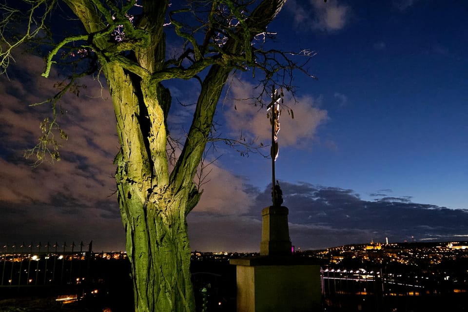 Výstava Křišťálová zahrada v Pražské botanické zahradě | Foto: Štěpánka Budková, Radio Prague Int. Výstava Křišťálová zahrada v Pražské botanické zahradě | Foto: Štěpánka Budková, Radio Prague Int.