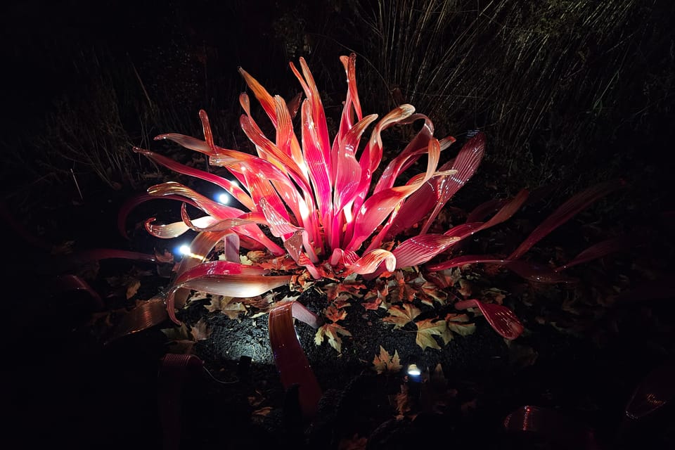 Výstava Křišťálová zahrada v Pražské botanické zahradě | Foto: Štěpánka Budková, Radio Prague Int. Výstava Křišťálová zahrada v Pražské botanické zahradě | Foto: Štěpánka Budková, Radio Prague Int.
