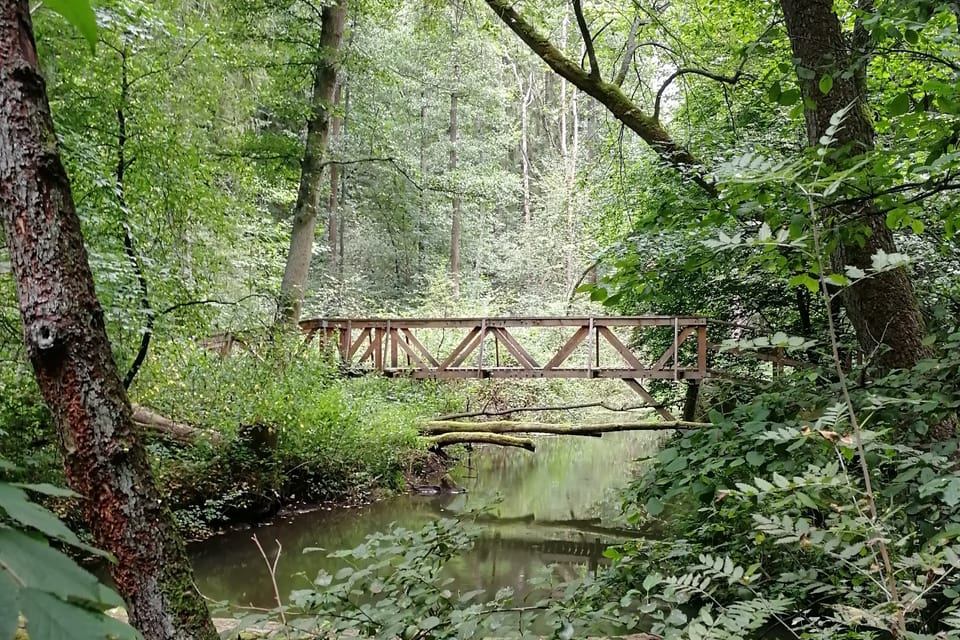 Přírodní památka Peklo na Kokořínsku | Foto: Štěpánka Budková, Radio Prague International Přírodní památka Peklo na Kokořínsku | Foto: Štěpánka Budková, Radio Prague International