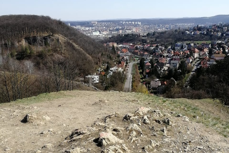 Výhled z vrchu Homolka,  foto: Štěpánka Budková