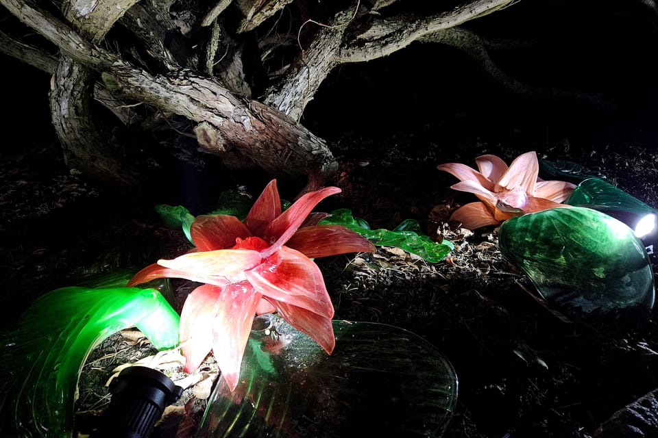 Výstava Křišťálová zahrada v Pražské botanické zahradě | Foto: Štěpánka Budková, Radio Prague Int. Výstava Křišťálová zahrada v Pražské botanické zahradě | Foto: Štěpánka Budková, Radio Prague Int.