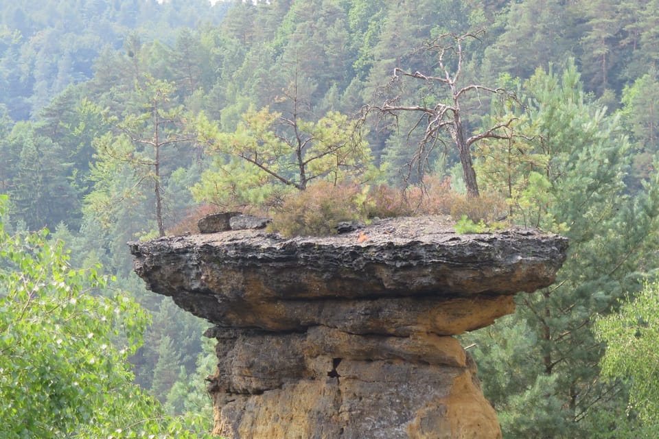 Pokličky na Kokořínsku | Foto: Vojtěch Ruschka,  Radio Prague International